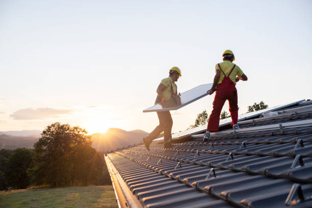 Best Sheet Metal Roofing  in Louisiana, MO