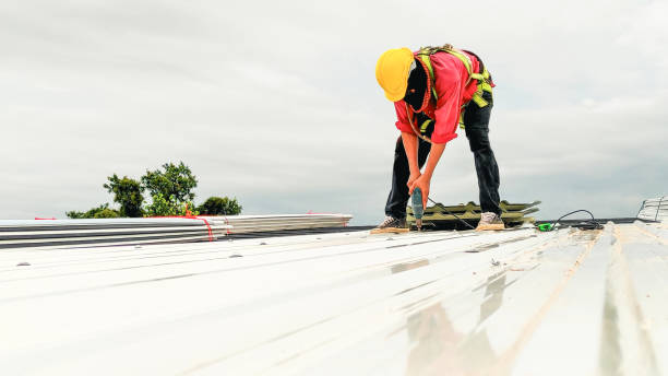 Best Roof Coating and Sealing  in Louisiana, MO