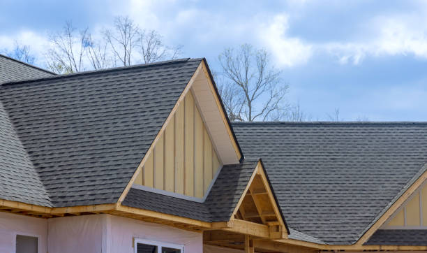 Best Gutter Installation and Repair  in Louisiana, MO
