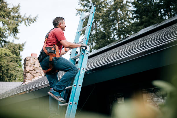 Best Slate Roofing  in Louisiana, MO