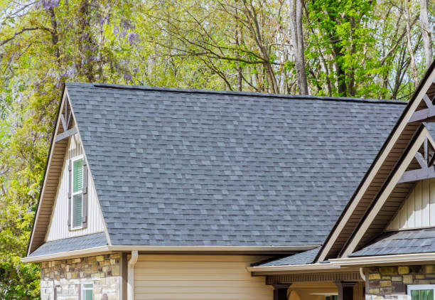 Best Metal Roofing Installation  in Louisiana, MO